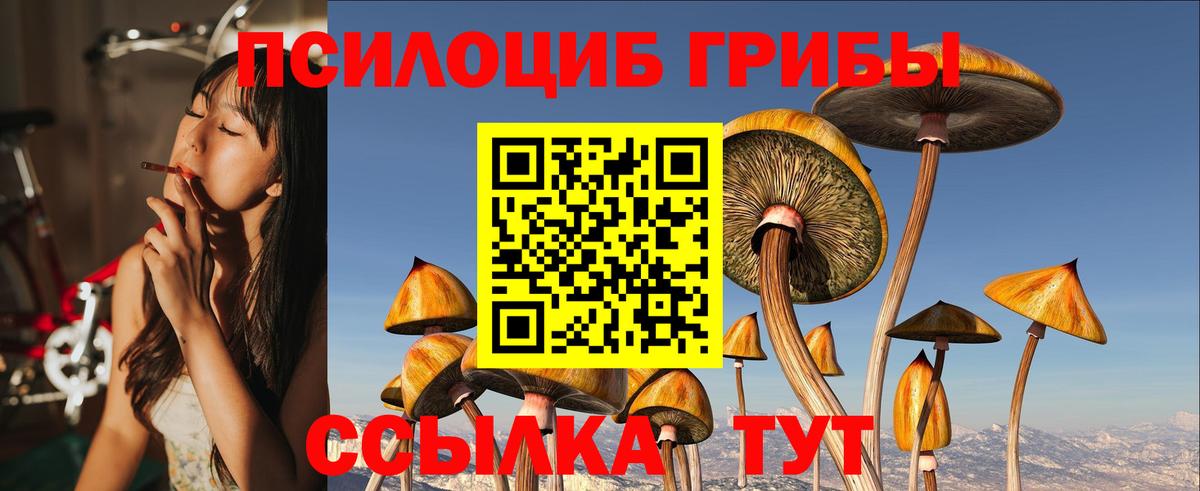 Псилоцибиновые грибы прущие грибы Советский