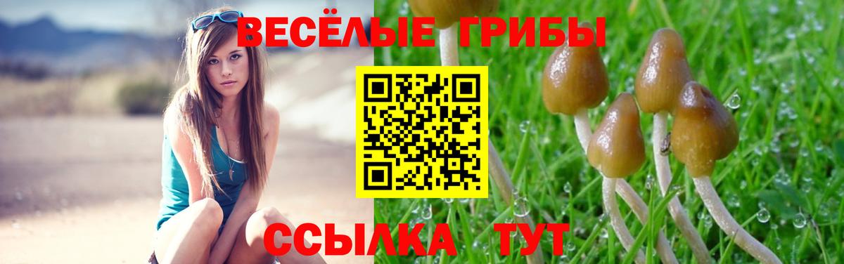 Галлюциногенные грибы Psilocybine cubensis  Вход с VPN  Псилоцибиновые грибы Cubensis  Советский 